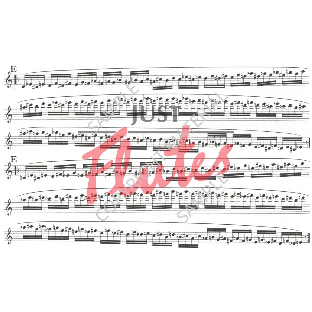 Marcel Moyse Daily Exercises for Flute. Just Flutes, London